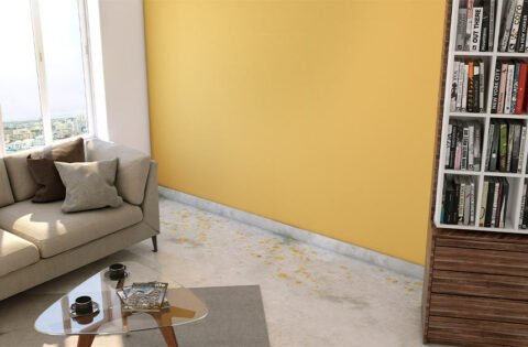 How to clean distemper from floor